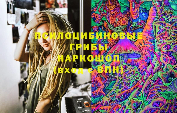 спиды Горно-Алтайск