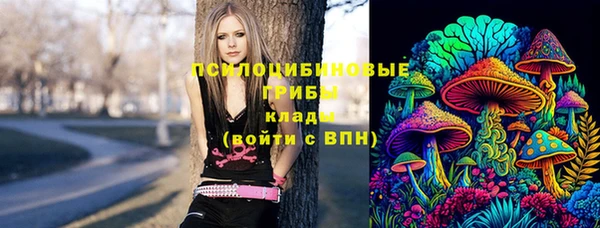 спиды Горно-Алтайск