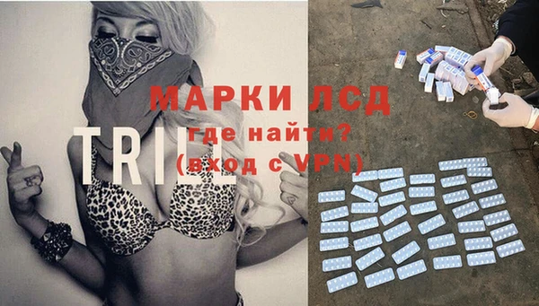 спиды Горно-Алтайск
