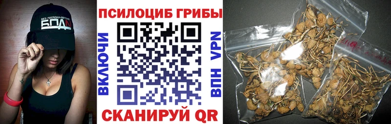 Псилоцибиновые грибы ЛСД  цена наркотик  Елизово 