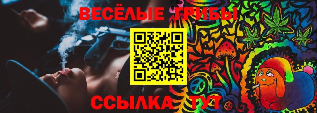 Псилоцибиновые грибы прущие грибы Елизово