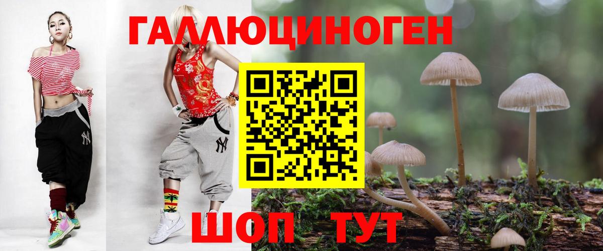 Псилоцибиновые грибы MAGIC MUSHROOMS  Псилоцибиновые грибы Magic Shrooms  Елизово 