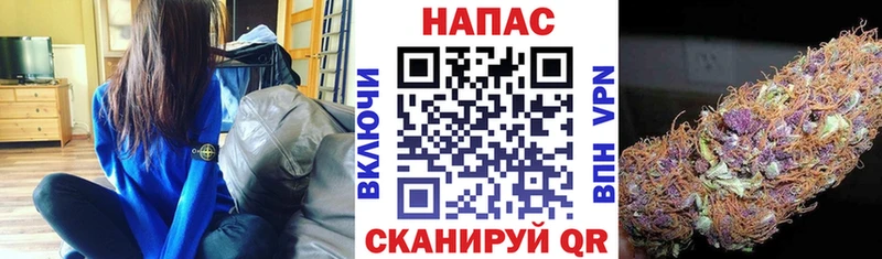 Конопля AK-47 Елизово